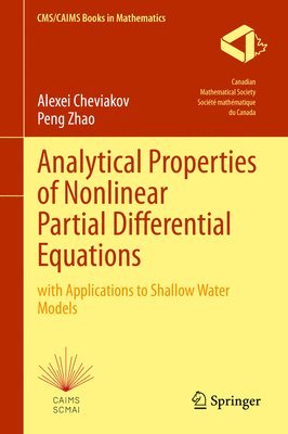 bokomslag Analytical Properties of Nonlinear Partial Differential Equations