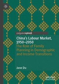 bokomslag China's Labour Market, 19502050