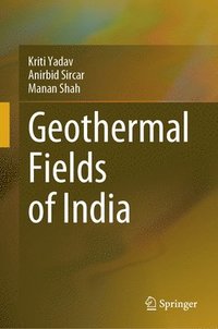 bokomslag Geothermal Fields of India
