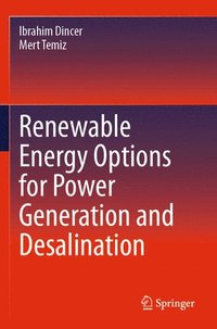 bokomslag Renewable Energy Options for Power Generation and Desalination