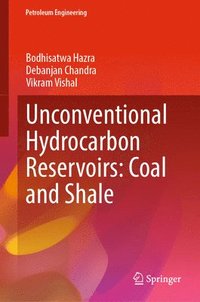 bokomslag Unconventional Hydrocarbon Reservoirs: Coal and Shale