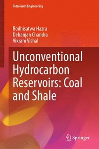 bokomslag Unconventional Hydrocarbon Reservoirs: Coal and Shale