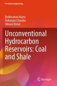 bokomslag Unconventional Hydrocarbon Reservoirs: Coal and Shale