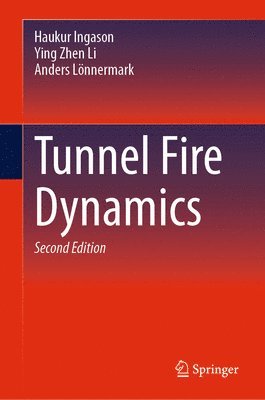 Tunnel Fire Dynamics 1