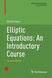 bokomslag Elliptic Equations: An Introductory Course