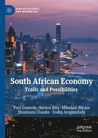 bokomslag South African Economy