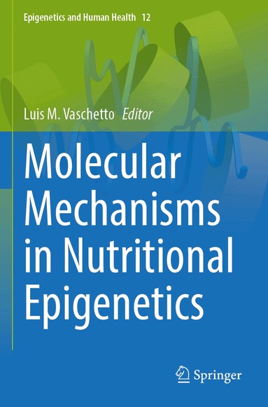 Luis M. Vaschetto - Molecular Mechanisms in Nutritional Epigenetics, Häftad