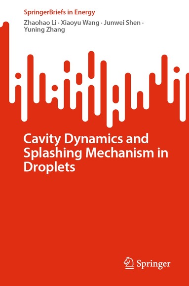 Zhaohao Li, Xiaoyu Wang, Junwei Shen, Yuning Zhang - Cavity Dynamics and Splashing Mechanism in Droplets, Häftad