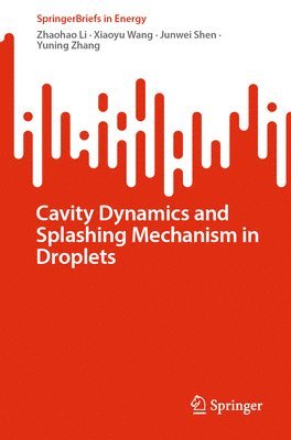 bokomslag Cavity Dynamics and Splashing Mechanism in Droplets