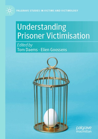 Tom Daems, Elien Goossens - Understanding Prisoner Victimisation, Häftad