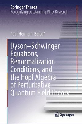 bokomslag DysonSchwinger Equations, Renormalization Conditions, and the Hopf Algebra of Perturbative Quantum Field Theory