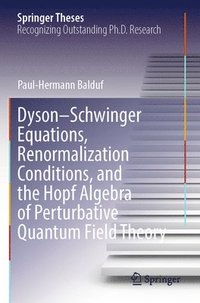 bokomslag Dyson-Schwinger Equations, Renormalization Conditions, and the Hopf Algebra of Perturbative Quantum Field Theory