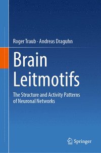 bokomslag Brain Leitmotifs