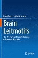 bokomslag Brain Leitmotifs