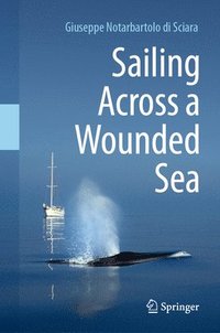 bokomslag Sailing Across a Wounded Sea