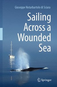 bokomslag Sailing Across a Wounded Sea