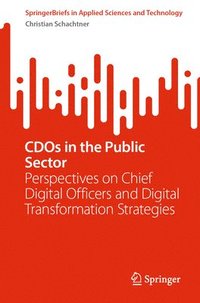 bokomslag CDOs in the Public Sector