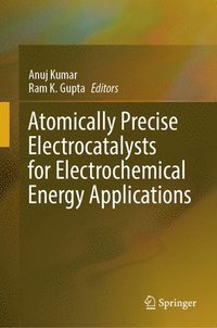 bokomslag Atomically Precise Electrocatalysts for Electrochemical Energy Applications