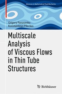 bokomslag Multiscale Analysis of Viscous Flows in Thin Tube Structures