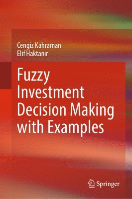 bokomslag Fuzzy Investment Decision Making with Examples