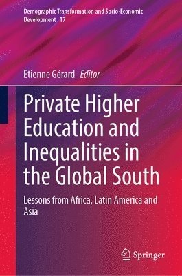 bokomslag Private Higher Education and Inequalities in the Global South