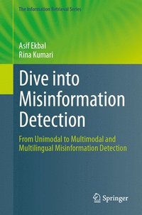 bokomslag Dive into Misinformation Detection