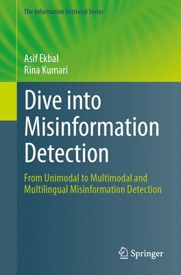 bokomslag Dive into Misinformation Detection