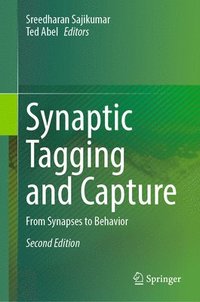 bokomslag Synaptic Tagging and Capture