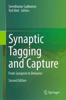 Synaptic Tagging and Capture 1