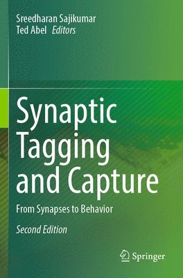 bokomslag Synaptic Tagging and Capture