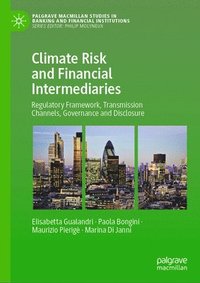 bokomslag Climate Risk and Financial Intermediaries