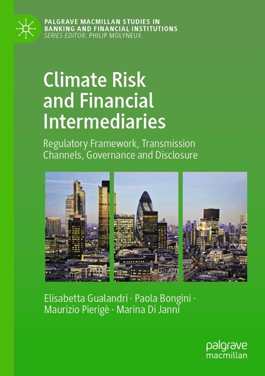 Elisabetta Gualandri, Paola Bongini, Maurizio Pierigè, Marina Di Janni - Climate Risk and Financial Intermediaries, Häftad