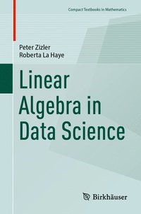 bokomslag Linear Algebra in Data Science