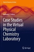 bokomslag Case Studies in the Virtual Physical Chemistry Laboratory