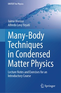 bokomslag Many-Body Techniques in Condensed Matter Physics