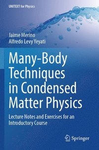 bokomslag Many-Body Techniques in Condensed Matter Physics