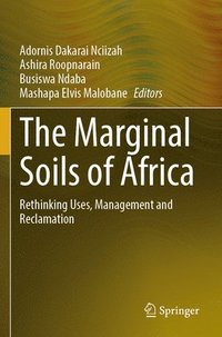bokomslag Marginal Soils of Africa