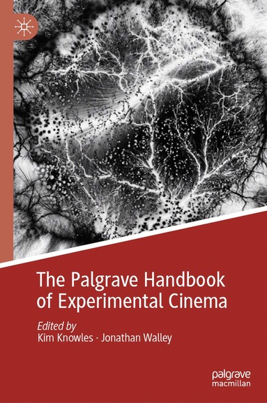 Kim Knowles, Jonathan Walley - Palgrave Handbook of Experimental Cinema, Inbunden