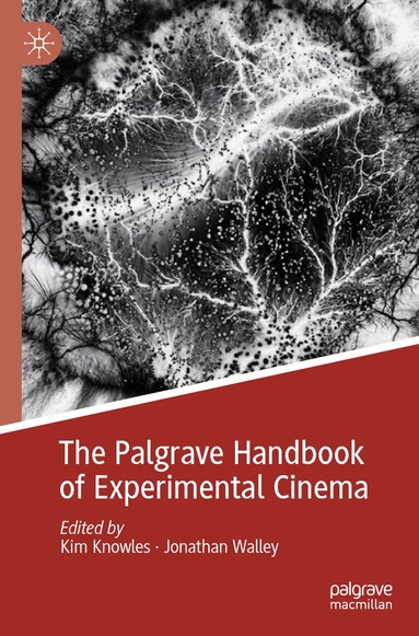 Kim Knowles, Jonathan Walley - Palgrave Handbook of Experimental Cinema, Häftad