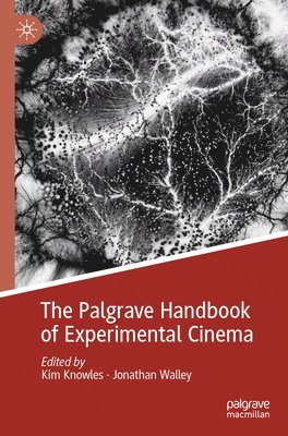 Palgrave Handbook of Experimental Cinema
