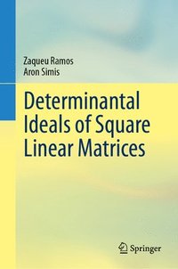 bokomslag Determinantal Ideals of Square Linear Matrices