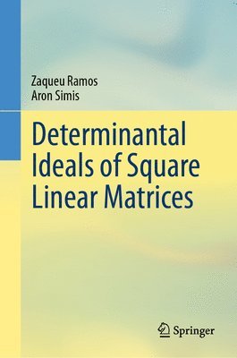 bokomslag Determinantal Ideals of Square Linear Matrices