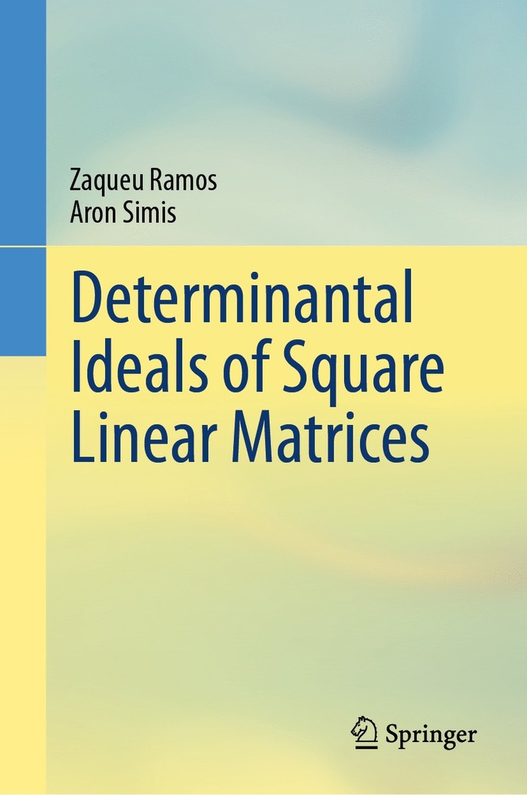 Zaqueu Ramos, Aron Simis - Determinantal Ideals of Square Linear Matrices, Inbunden