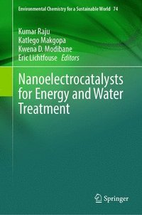 bokomslag Nanoelectrocatalysts for Energy and Water Treatment