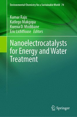 bokomslag Nanoelectrocatalysts for Energy and Water Treatment