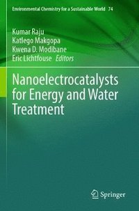 bokomslag Nanoelectrocatalysts for Energy and Water Treatment