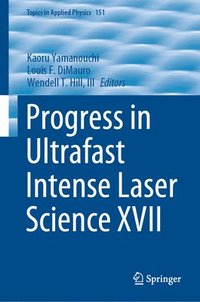 bokomslag Progress in Ultrafast Intense Laser Science XVII