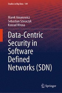 bokomslag Data-Centric Security in Software Defined Networks (SDN)