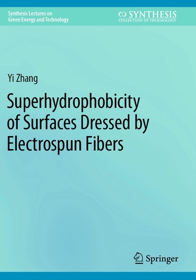 Yi Zhang - Superhydrophobicity of Surfaces Dressed by Electrospun Fibers, Häftad