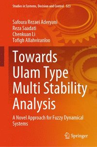 bokomslag Towards Ulam Type Multi Stability Analysis